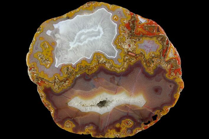 Colorful, Polished Agate - Kerrouchen, Morocco #181446